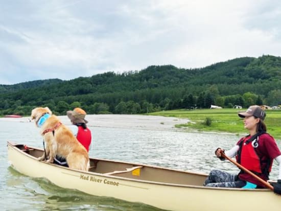 【愛犬連れOK】南富良野 かなやま湖カヌー1.5時間コース 水上からの風景を満喫！対岸にわたって休憩タイム＆散策も楽しもう＜5～6月／かなやま湖＞