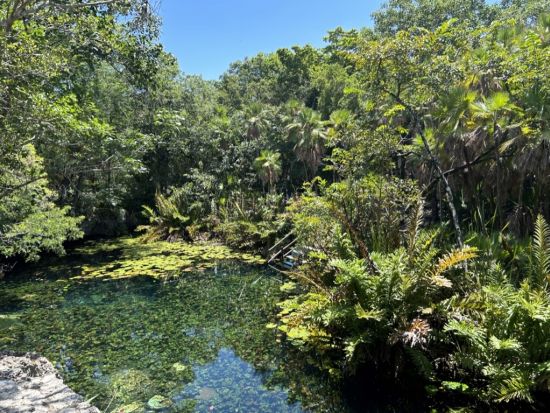 セノーテドスオホス＋選べる厳選セノーテ シュノーケリングツアー＜1日／混載／日本語ガイド／少人数制／入場料込／プラヤデルカルメン観光プランあり／カンクン発＞