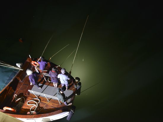 41840381064_2aa9c4a0e5_k