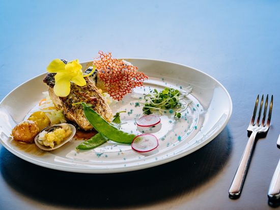 42510744072_63c7af2101_k