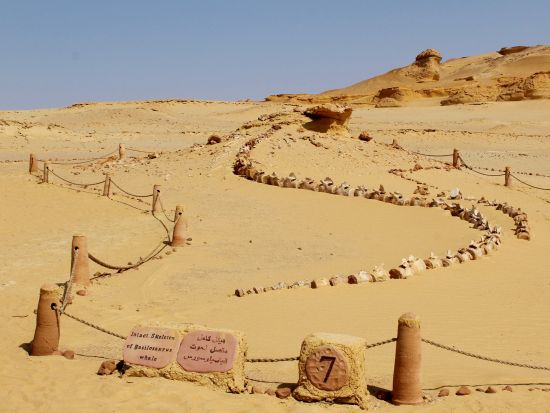 【貸切】ファイユーム・オアシス満喫◎世界遺産クジラの谷＋エジプト唯一の滝＋自然保護区＋ムダワラ山＋4WDジープ砂漠サファリ ＜終日／日本語／送迎付／カイロ発＞