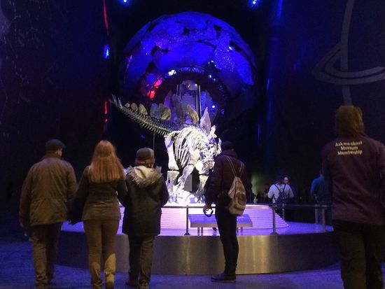 CopyRight_Miki Travel UK-Ops