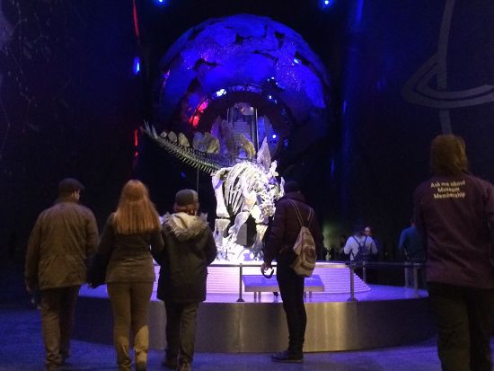 【プライベート】ヴィクトリア＆アルバート博物館とロンドン自然史博物館 見学ツアー＜日本語／午後＞by[みゅう]