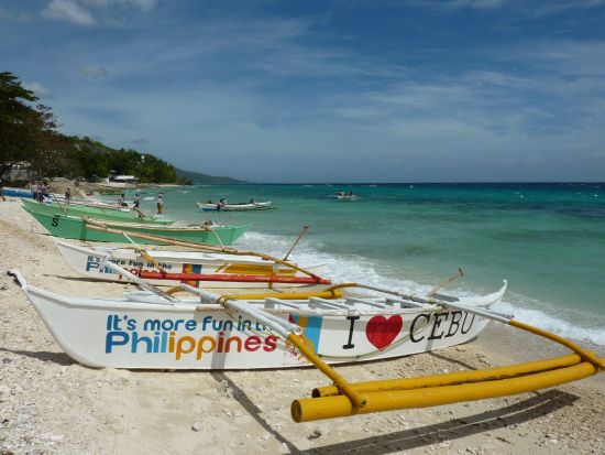 ジンベイザメの観光地「オスロブ」への送迎サービス　旅の計画に合わせて選べる片道・往復プラン＜セブ市内またはマクタン島発＞