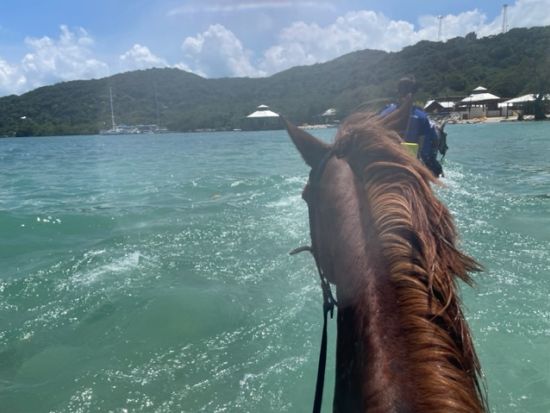 ビーチ＆マウンテン乗馬体験ツアー＜英語ガイド／モンテゴベイ発・オーチョリオス発＞