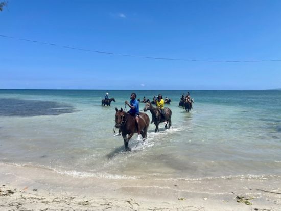 ビーチ＆マウンテン乗馬体験ツアー＜英語ガイド／モンテゴベイ発・オーチョリオス発＞