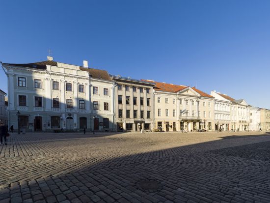 タルトゥ1日観光ツアー　専用車または公共バス利用　日本語ガイドオプションあり＜タリン発＞