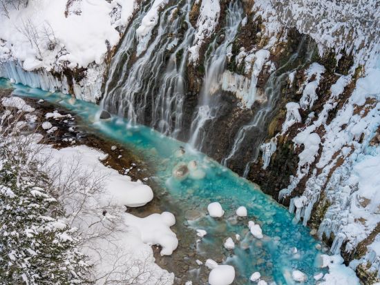 札幌発 日帰りバスツアー 旭山動物園＋美瑛町青い池　4月末～11月初旬はファーム富田見学＆パッチワーク車窓＜1名から催行／旭山動物園にて自由昼食／札幌市内発着＞
