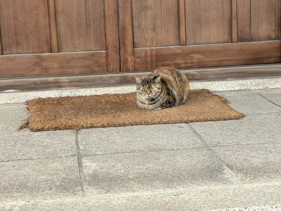 神戸八社ガイドツアー 厄払いと願掛けの旅 生田神社名物の水みくじ＋老舗料亭の和ランチ付き＜ 3.5時間／昼食付／神戸市＞