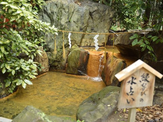 神戸八社ガイドツアー 厄払いと願掛けの旅 生田神社名物の水みくじ＋老舗料亭の和ランチ付き＜ 3.5時間／昼食付／神戸市＞