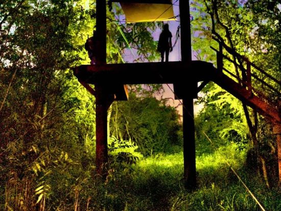 コーラルクレーター・アドベンチャーパーク　ナイトジップライン体験3本　キャンプファイヤーでのスモア作り体験付き！＜土曜日＞