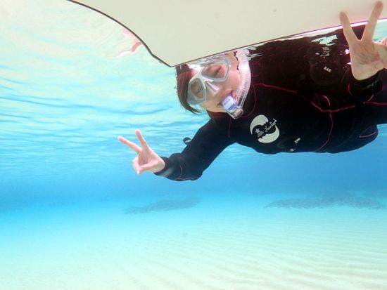 ウミガメ探検シュノーケリング　奄美の美しい海を観察 ウミガメに会いに行こう＜笠利町・龍郷町内送迎可＞byダイビングショップネバーランド