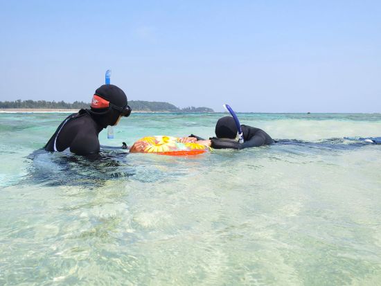 ウミガメ探検シュノーケリング　奄美の美しい海を観察 ウミガメに会いに行こう＜笠利町・龍郷町内送迎可＞byダイビングショップネバーランド