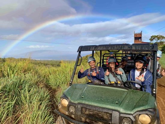 ジップライン4本または6本ツアー　スリル満点！ハワイ最長の吊り橋体験付き＜英語ガイド＞