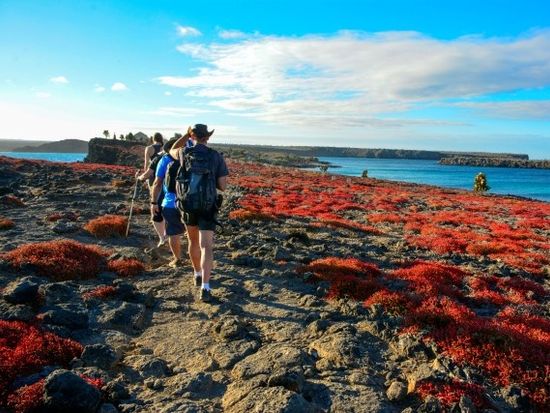 Plaza sur copia (Custom)