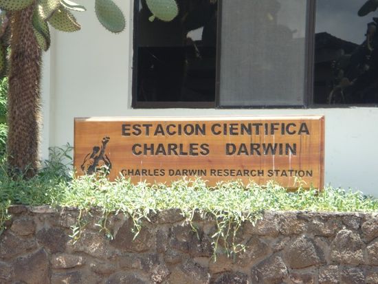 DSC-T50054008 (Custom)