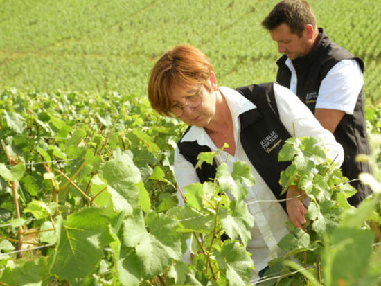 シャンパンオーナー