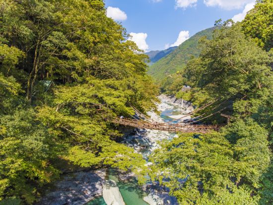 貸切観光タクシー 高松発・祖谷渓ハイライト観光 かずら橋＋ひの字＋小便小僧＜7時間／1-9名／高松発着＞4名参加で1名11,900円～ by 平井タクシー