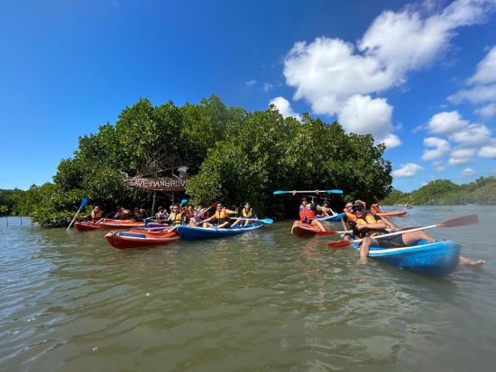 バリ島 マングローブカヌー体験　野鳥観測やインドネシア固有種について説明あり ＜日本語ガイド＞by JTB