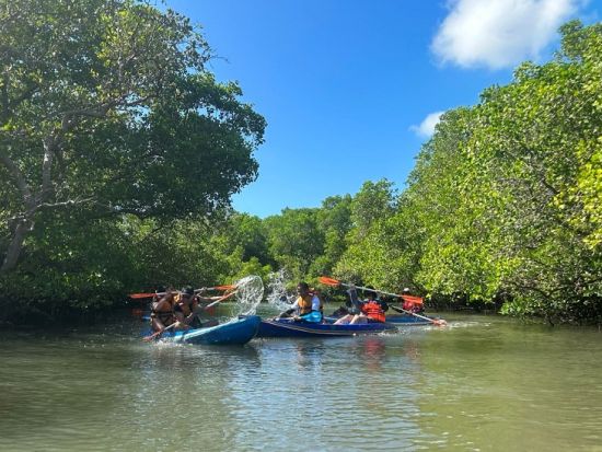 バリ島 マングローブカヌー体験　野鳥観測やインドネシア固有種について説明あり ＜日本語ガイド＞by JTB