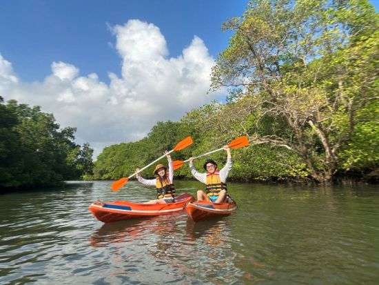 バリ島 マングローブカヌー体験　野鳥観測やインドネシア固有種について説明あり ＜日本語ガイド＞by JTB
