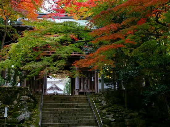貸切観光タクシー プロの写真家がご案内！香川の四季をカメラに収めるフォトツアー 栗林公園＋屋島＋白山神社 他＜9時間／1-9名／高松発着＞by 平井タクシー