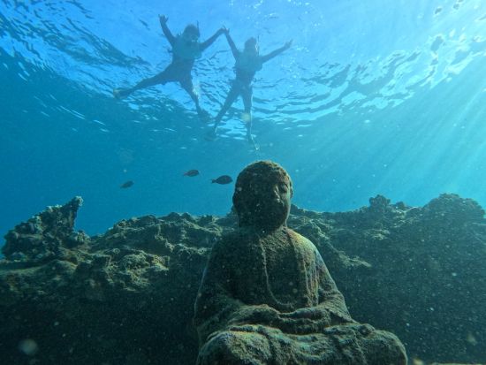 貸切シュノーケリングツアー　透明度抜群の西オアフの海でウミガメやイルカに出会えるチャンス！安心の初心者レッスンあり＜4時間／日本語／送迎付＞