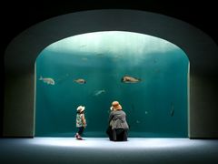 新四国水族館
