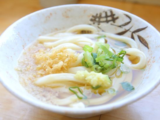 貸切観光タクシー プロの写真家がご案内！新さぬきフォトジェニックツアー 四国水族館＋高屋神社＋父母ヶ浜 他＜10時間／1-9名／高松発着＞by 平井タクシー