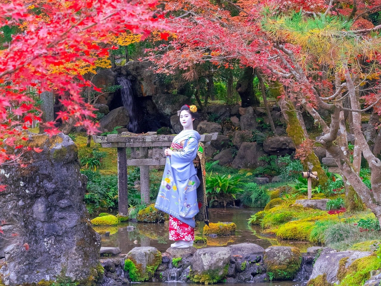 金閣寺と舞妓さん 秋の風景の色紙-