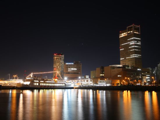 貸切観光タクシー プロの写真家がご案内！ナイトフォトツアー 瀬戸大橋記念公園＋高松港サンポート＋屋島＜7時間／1⁻9名／高松発着＞by 平井タクシー