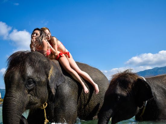 プーケット フォトジェニックツアー☆象＆トラとの写真撮影可　プロカメラマン同行オプションあり＜民族衣装撮影付／往復送迎／英語ドライバー／貸切＞