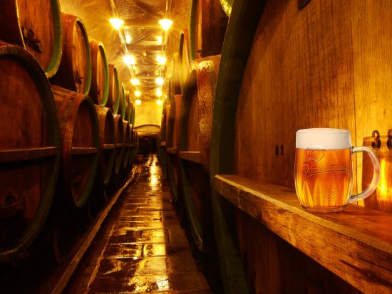 ビールマイスターと巡る　チェコビール醸造所見学＆試飲ツアー＜英語／プラハ発＞