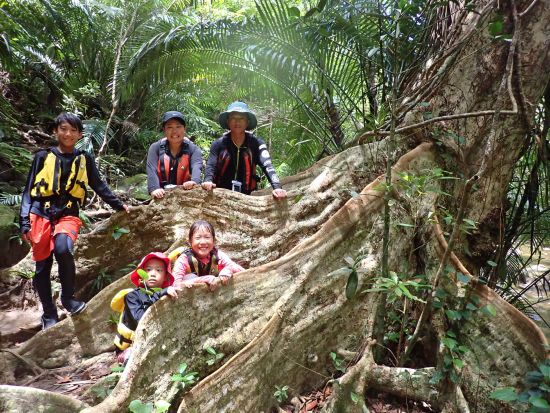マングローブカヌー+ピナイサーラの滝 カヌー&トレッキングで西表島の自然に触れるツアー＜上原港、東部地区～西部住吉地区まで無料送迎／西表島＞