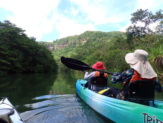 マングローブカヌー+ピナイサーラの滝 カヌー&トレッキングで西表島の自然に触れるツアー＜上原港、東部地区～西部住吉地区まで無料送迎／西表島＞
