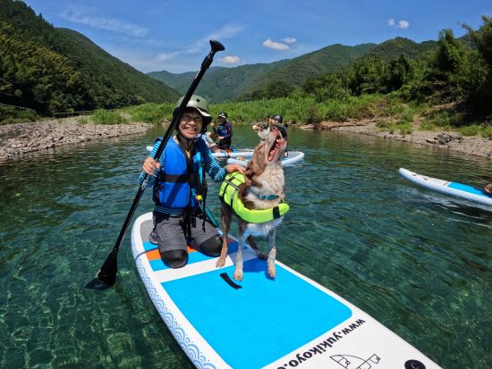 【愛犬連れOK】SUPツアー 仁淀ブルーを満喫！愛犬と一緒に水上散歩 5歳～参加OK＜2時間／午前 or 午後／3～11月／越知町＞