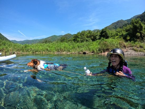 【愛犬連れOK】SUPとカヌーを融合させた「ZAB」ツアー 愛犬と一緒に仁淀川を水上散歩 5歳～参加OK＜3時間／午前 or 午後／3～11月／越知町＞