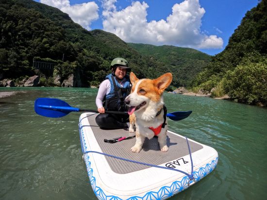 【愛犬連れOK】SUPとカヌーを融合させた「ZAB」ツアー 愛犬と一緒に仁淀川を水上散歩 5歳～参加OK＜3時間／午前 or 午後／3～11月／越知町＞