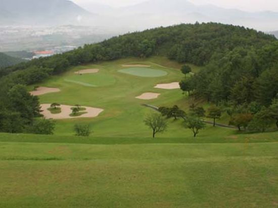 TONGDO (3)
