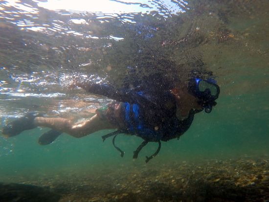 ラフティングツアー グループでボート貸切！仁淀川で大自然を満喫しよう 5歳～参加OK＜3時間／午前 or 午後／3～11月／越知町＞