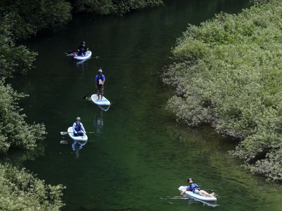 SUPツアー 奇跡の清流「仁淀川」でSUPクルージング 仁淀ブルーを満喫しよう 5歳～参加OK＜2時間／午前 or 午後／3～11月／越知町＞