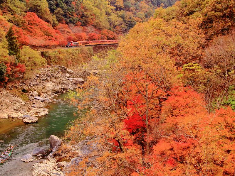 Japan_Kyoto_Sagano_romantic_train_pixta_57101411