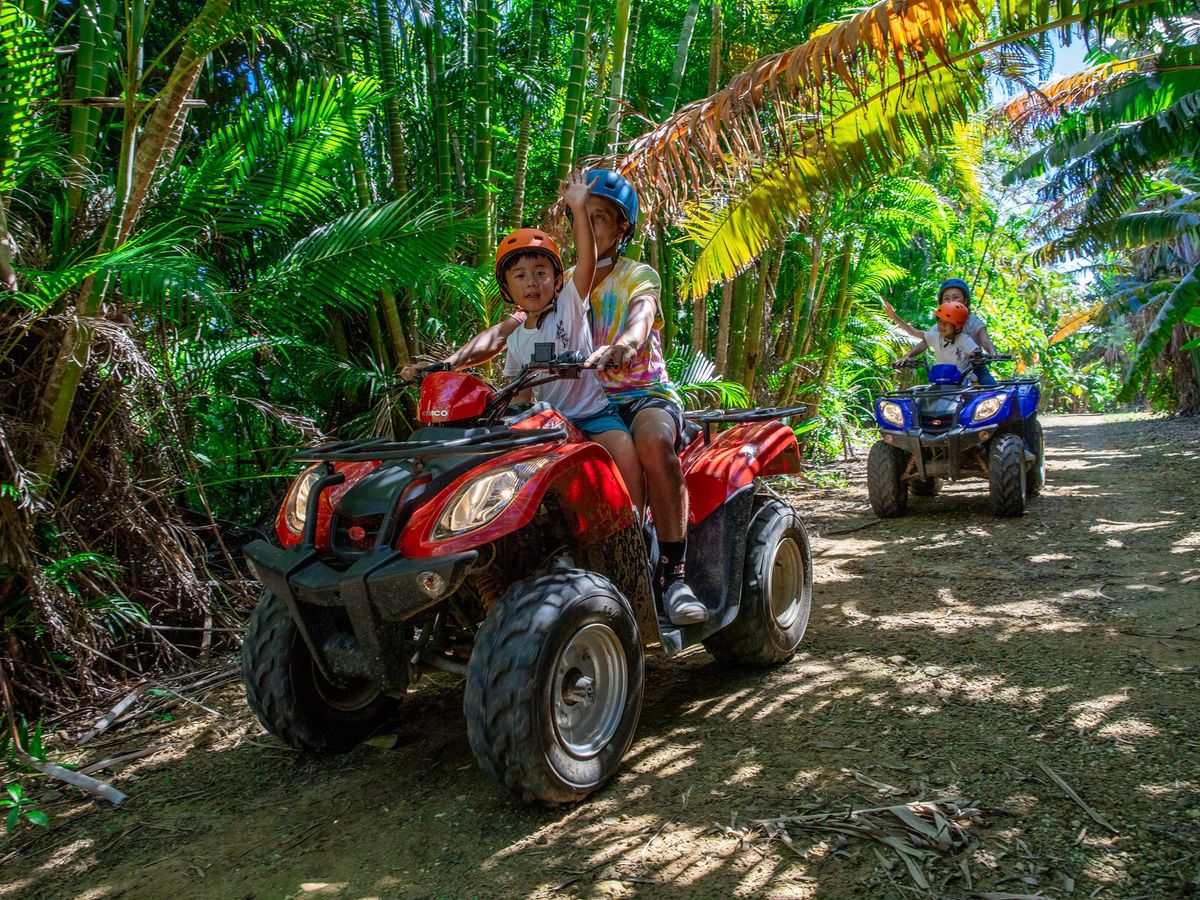 バギー 四輪バギー（ATV） | 西表島 旅行の観光・オプショナルツアー予約