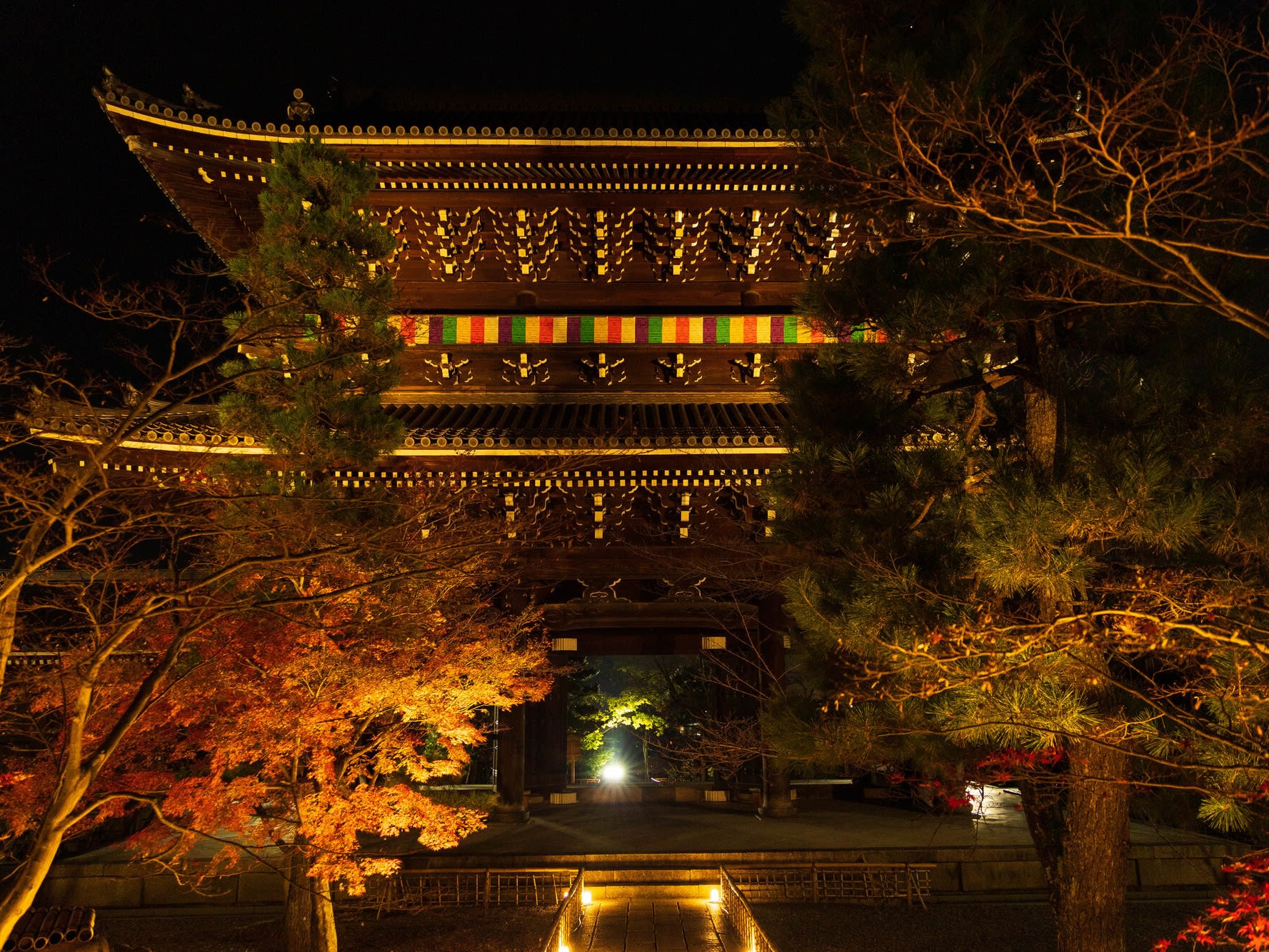 東寺 夜桜ライトアップ 夜間特別拝観 招待券 チケット ２枚セット