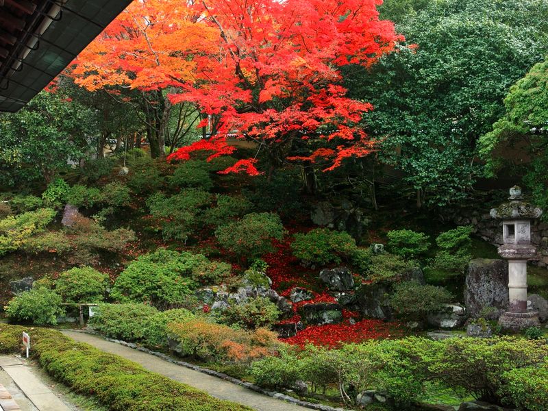 Japan_Kyoto_Reikan_ji_pixta_24723253