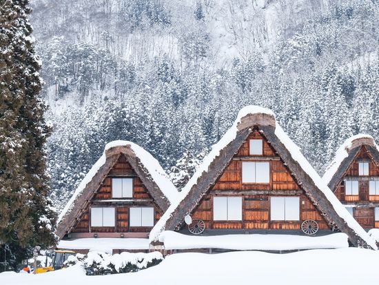 pixta_84103177_M (1)