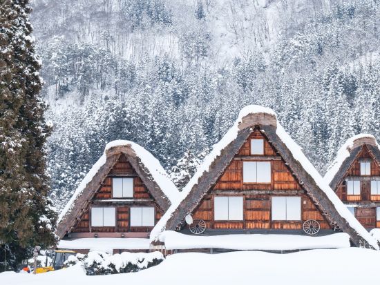 【多言語対応】1日観光ツアー 世界遺産 白川郷・温泉入浴・平湯大滝へのハイキング ＜ガイド付きツアー／7～9時間／2～12名／岐阜 白川村＞