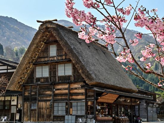 【多言語対応】半日観光ツアー 世界遺産・白川郷をガイド付きでご案内！四季折々の魅力を堪能 ＜2～4時間／2～12名／岐阜 白川村＞