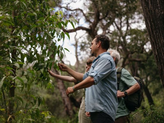 ニルギ洞窟ツアー☆伝統楽器ディジュリドゥ演奏付き！アボリジナル文化と神秘的な自然を堪能＜約90分／午前or午後／英語ガイド＞