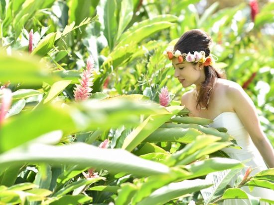 ハワイ島　ビーチフォト　ビーチ＆街中＆公園＆サンセットのよくばり4ロケーション！充実の各種オプションもご用意（撮影・他オプション）